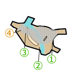 gennseirin2.gif