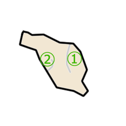 gennseirin8.gif