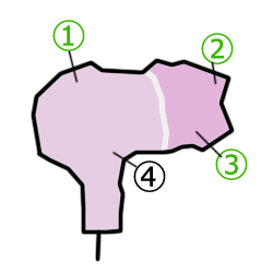 tennkuu7.gif