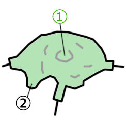 tennkuu8.gif