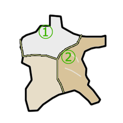 titei1.gif
