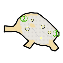 titei6.gif
