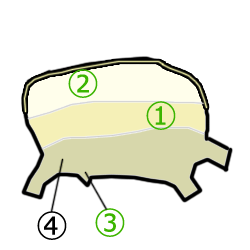 titei7.gif
